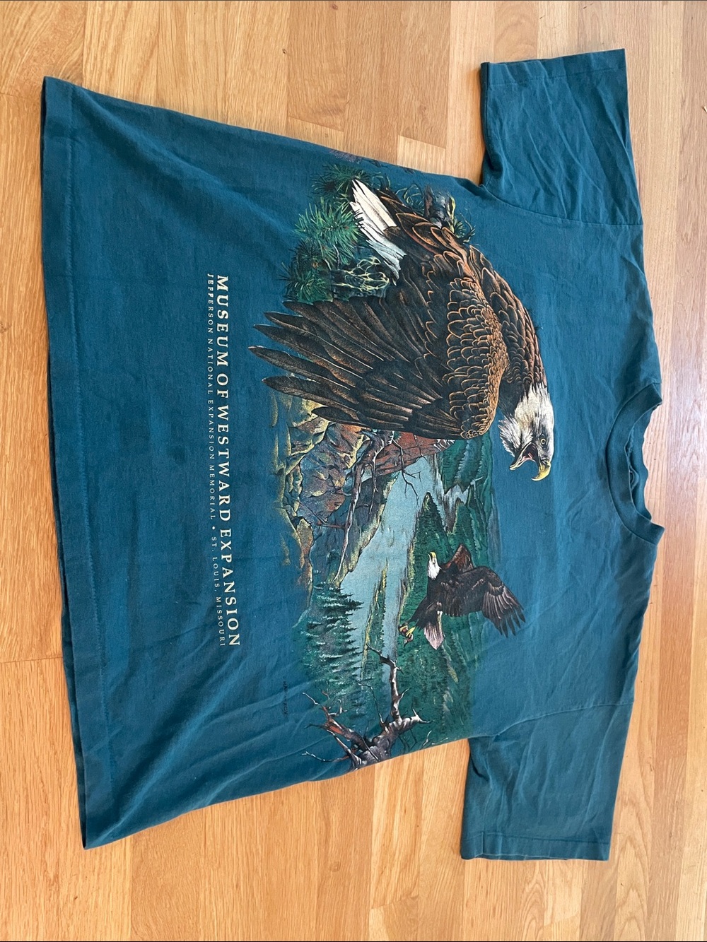 Teal Eagle Graphic Short-Sleeve Men's T-Shirt